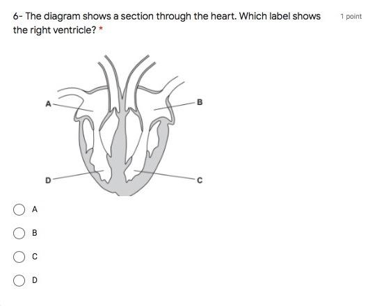 Solved 2- The diagram shows the heart and the main blood | Chegg.com