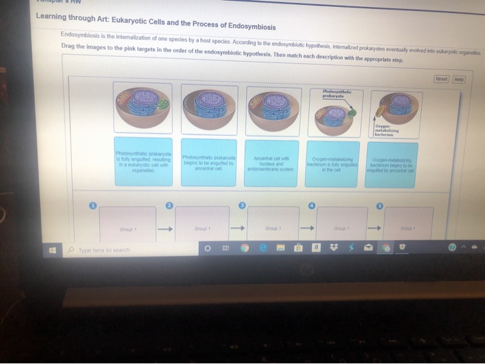 Solved: Learning Through Art: Eukaryotic Cells And The Pro... | Chegg.com