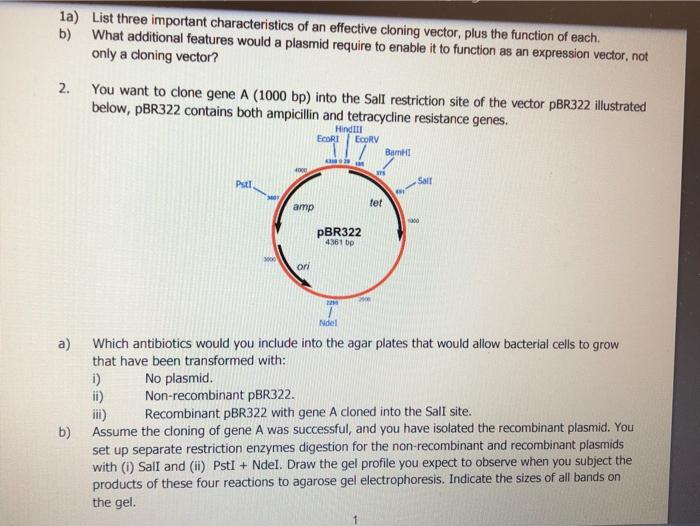 Solved 1a List Three Important Characteristics Of An Chegg