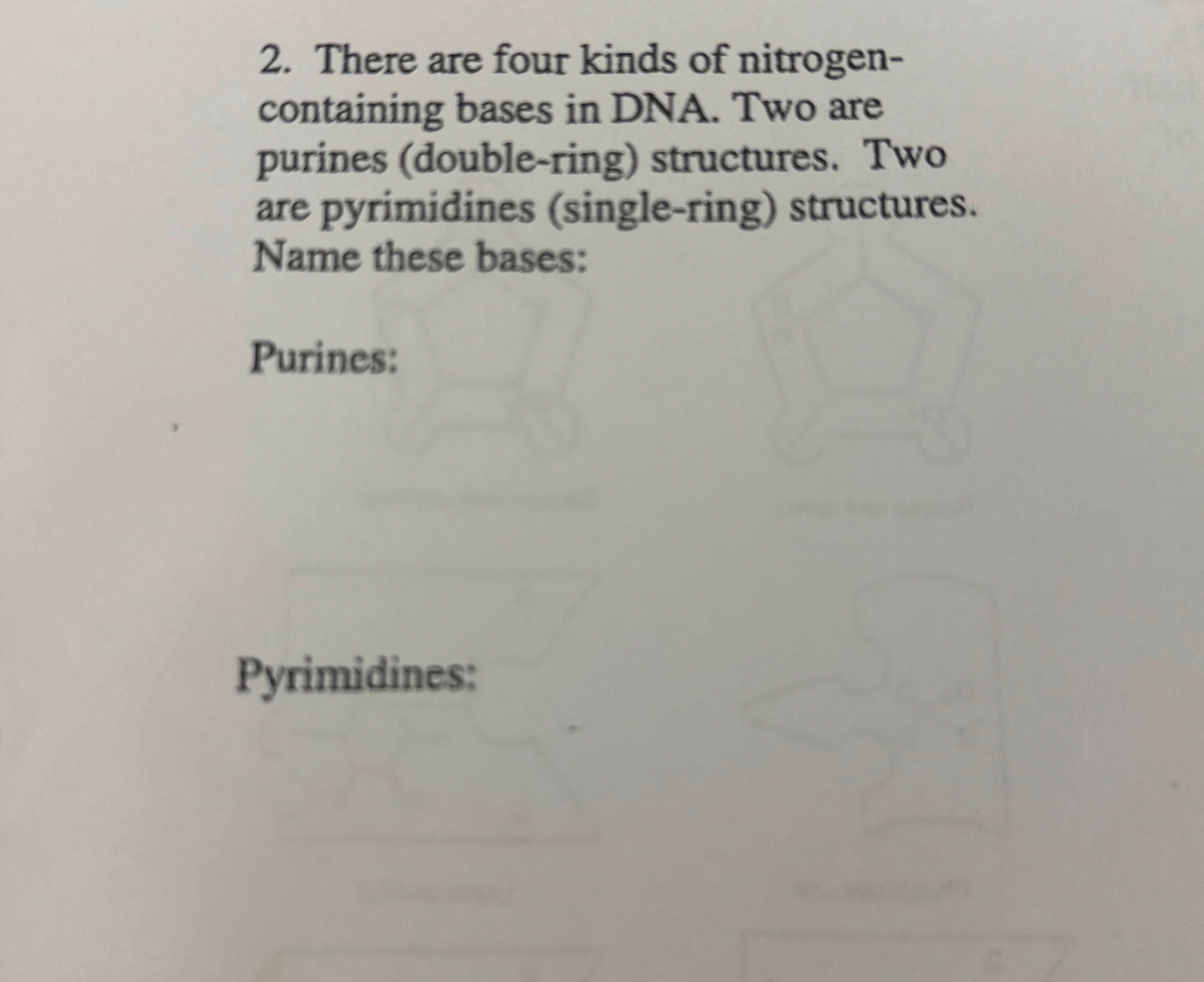 There are four kinds of nitrogencontaining bases in | Chegg.com