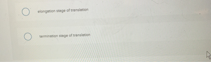 Solved What step of gene expression is shown in the figure? | Chegg.com