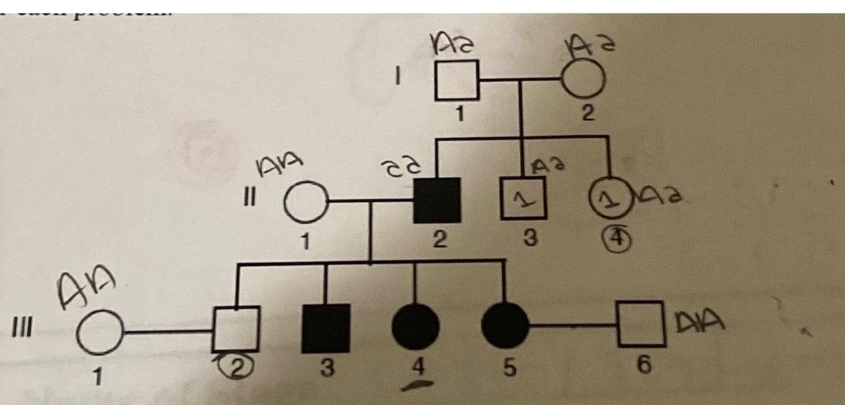 Solved Shown below is a pedigree for PKU an autosomal