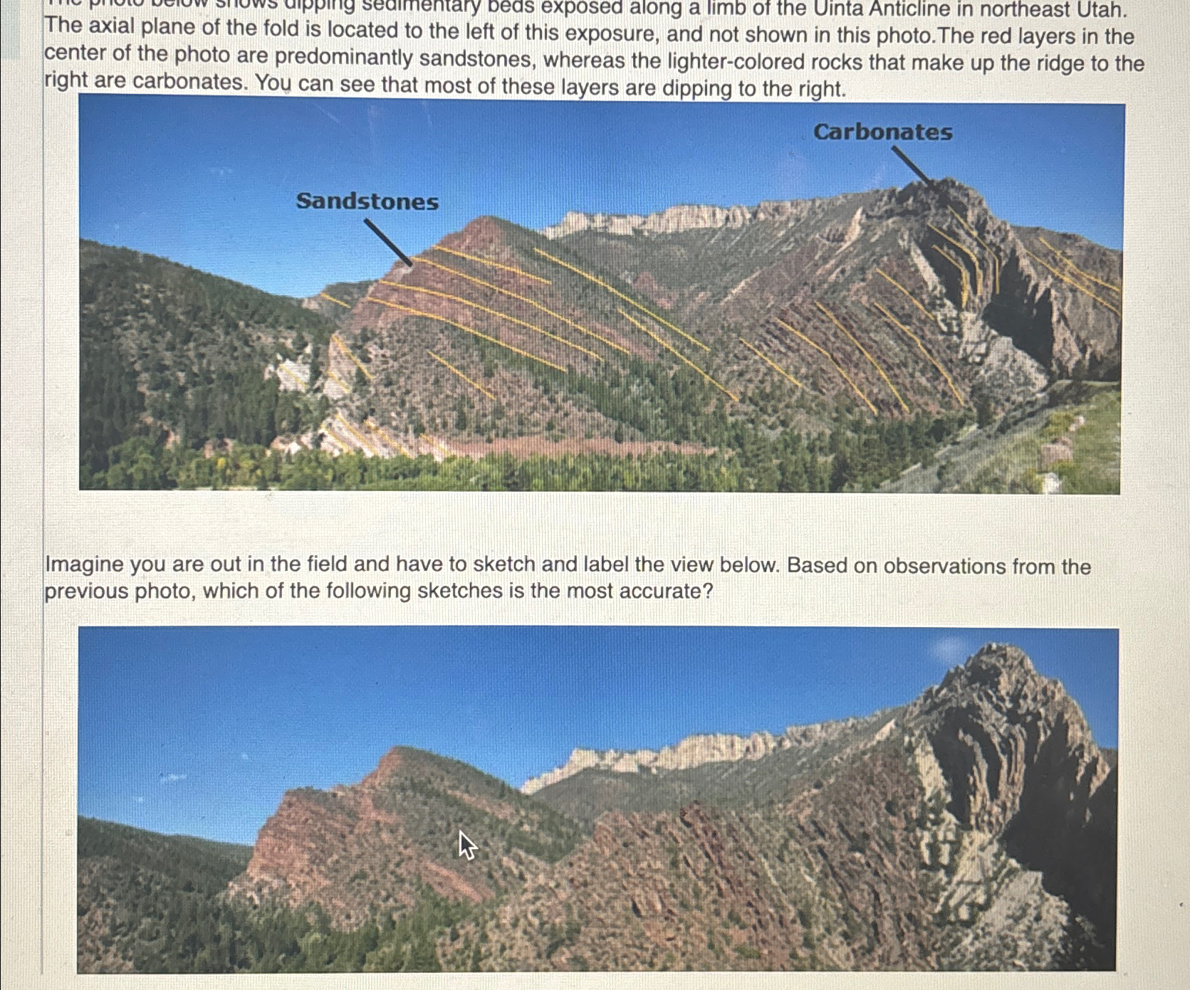 Solved The axial plane of the fold is located to the left of | Chegg.com