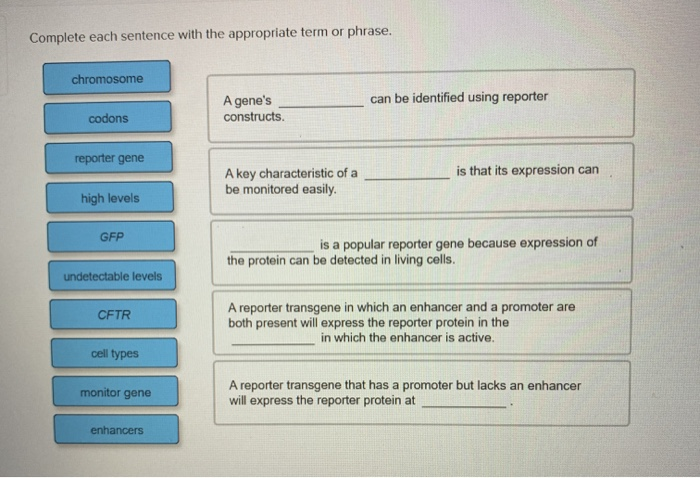 solved-complete-each-sentence-with-the-appropriate-term-or-chegg