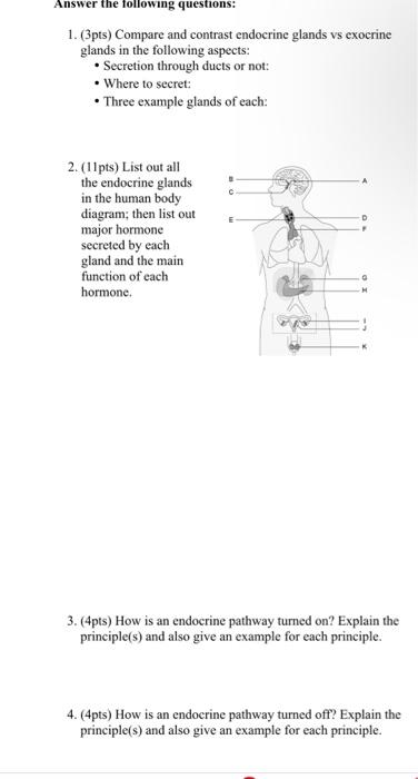 Solved 1. (3pts) Compare and contrast endocrine glands vs | Chegg.com
