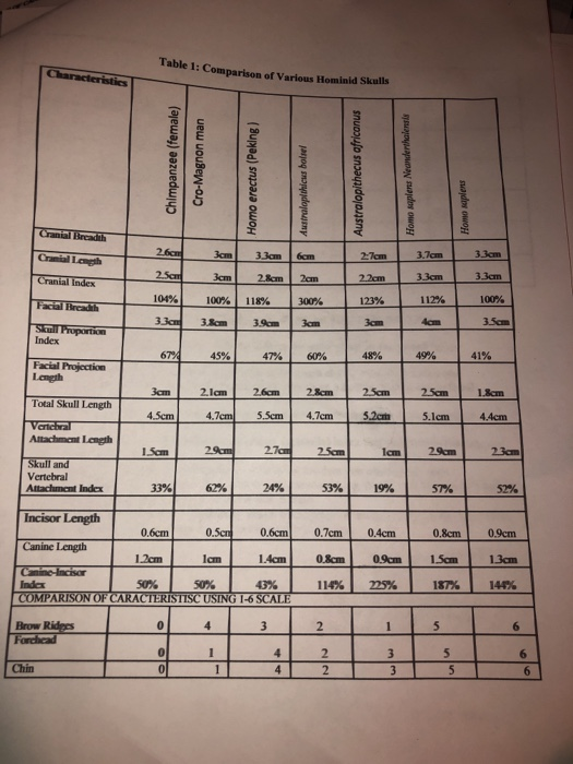Solved Table 1: Comparison of Various Hominid Skulls | Chegg.com