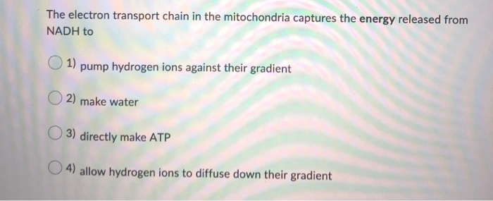 Solved The electron transport chain in the mitochondria | Chegg.com