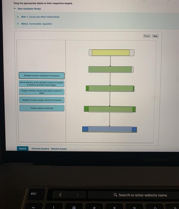 Read the following passage and construct a flow chart | Chegg.com