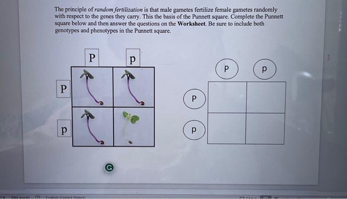 Activity 1 Observing the Parental Generation Recall | Chegg.com