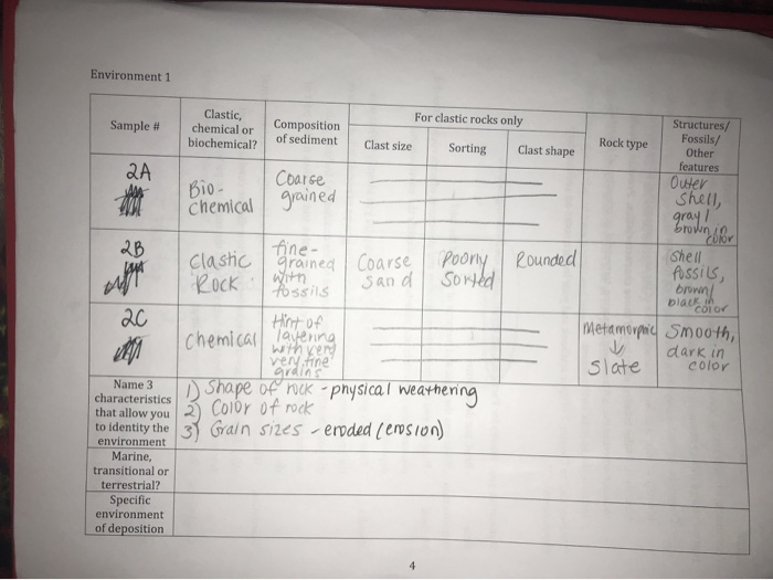 Solved Environment 1 chemical grained Clastic, For clastic | Chegg.com