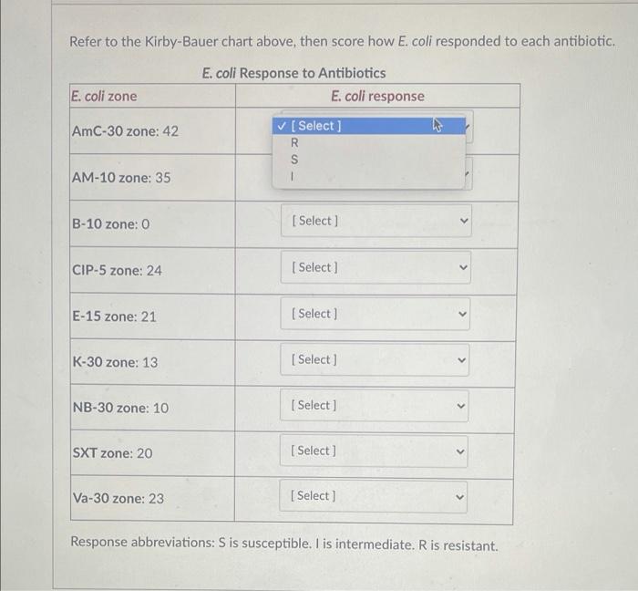 Solved Here's a scaleddown KirbyBauer chart showing zones