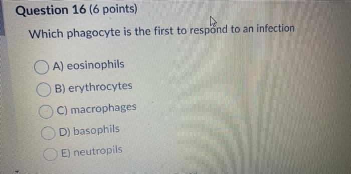 Question 16 (6 points) Which phagocyte is the first to respond to an infection A) eosinophils B) erythrocytes C) macrophages