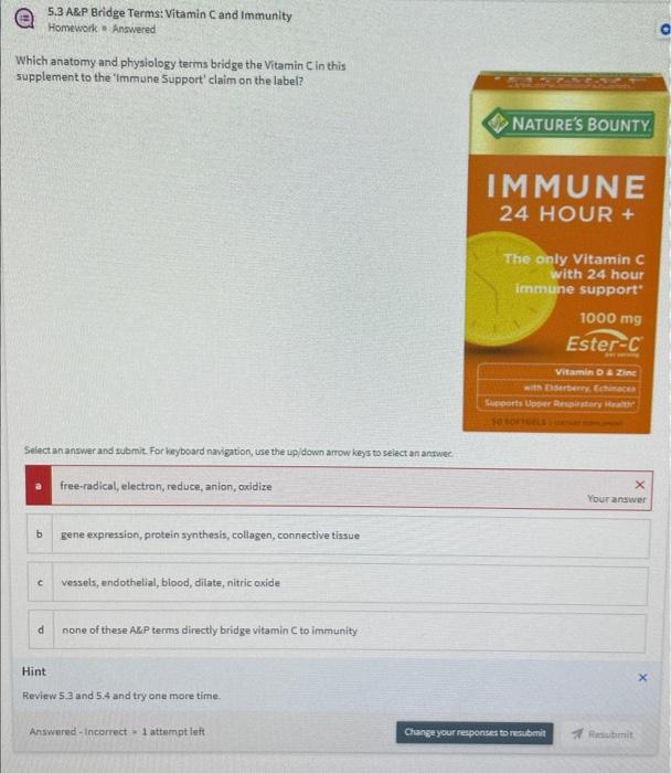 5.3 A\&P Bridge Terms: Vitamin C and Immunity Homework s frawered
Which anatomy and physiology terms brid ge the Vitamin \( C