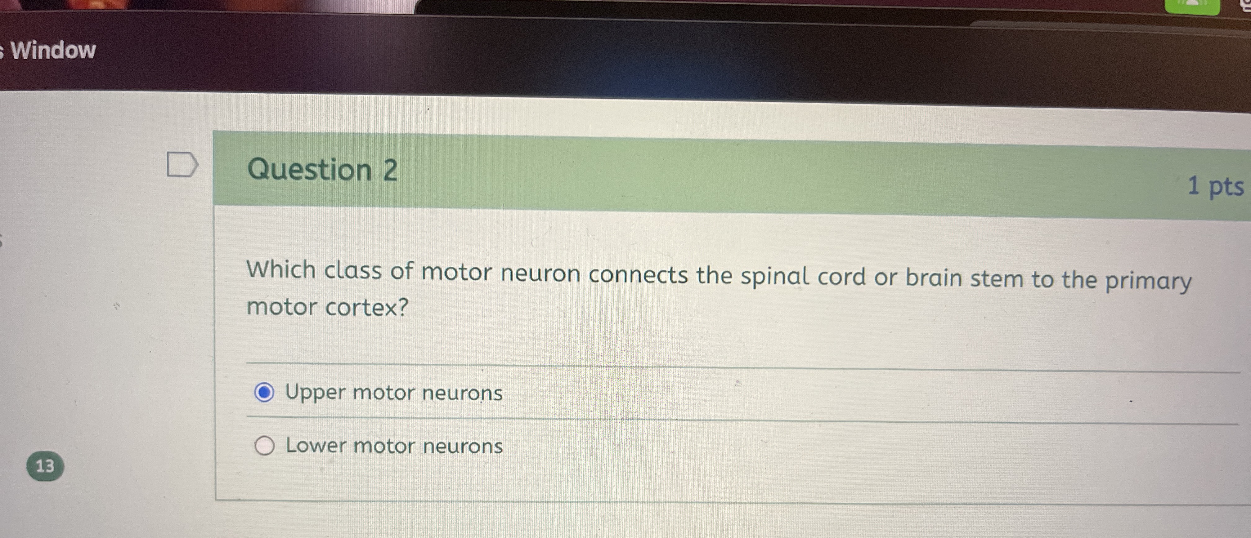 Solved Question 2Which class of motor neuron connects the | Chegg.com