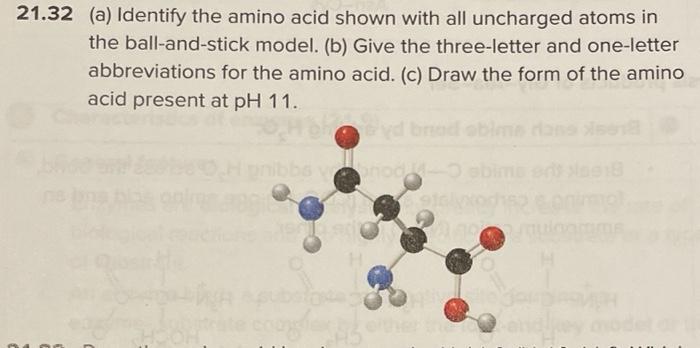 Solved 21.32 (a) Identify the amino acid shown with all | Chegg.com