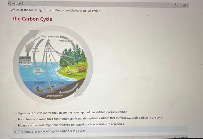 Solved Which of the following is true of the carbon | Chegg.com