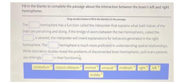 solved-answer-the-question-correctly-fill-in-the-blank