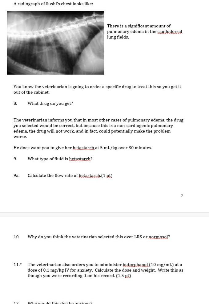 A radiograph of Sushis chest looks like: There is a significant amount of pulmonary edema in the caudadorsal lung fields. Yo