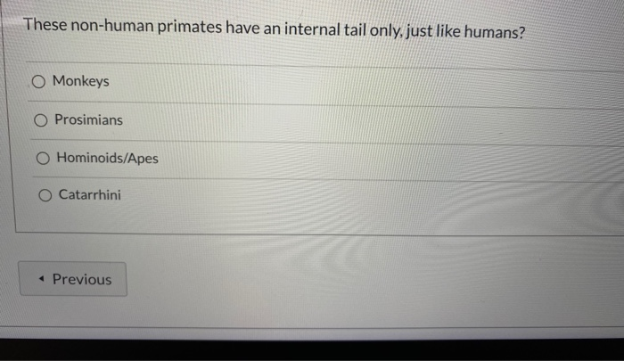 Solved These non-human primates have an internal tail only, | Chegg.com