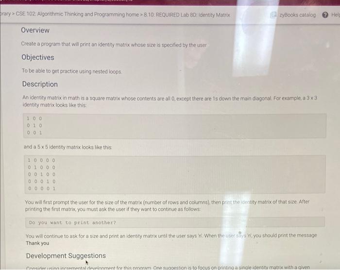 Solved Overview Create a program that will print an identity | Chegg.com