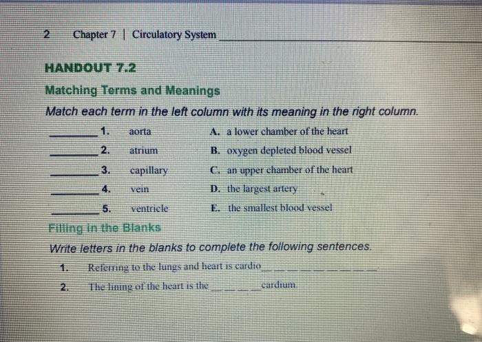 2 Chapter 7 | Circulatory System aorta HANDOUT 7.2 Matching Terms and Meanings Match each term in the left column with its me