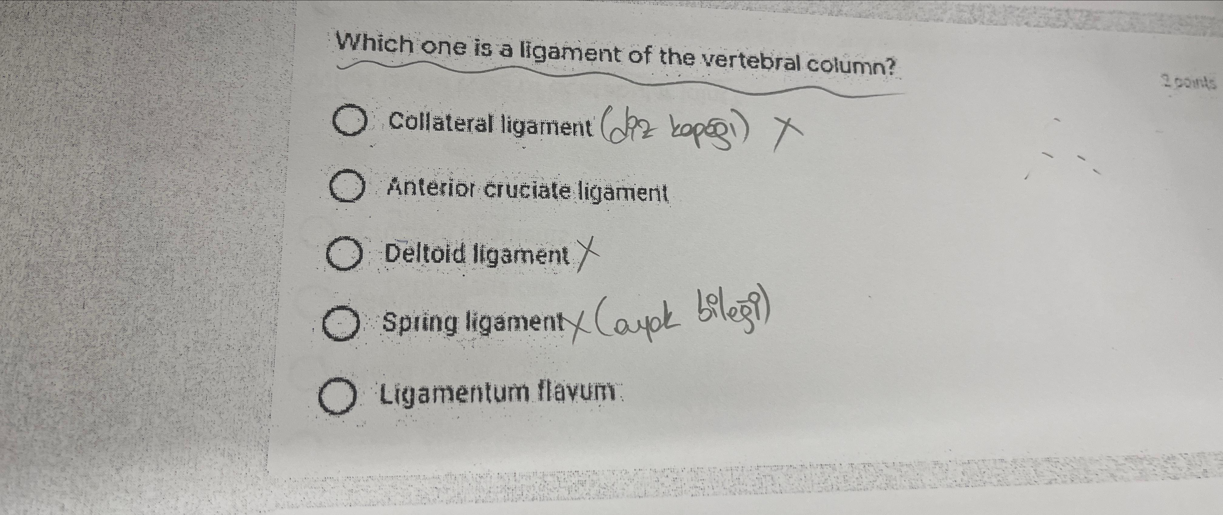 Solved Which one is a ligament of the vertebral | Chegg.com