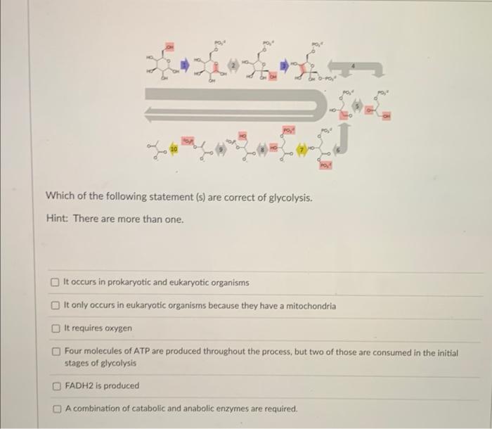 Solved Which of the following statement (s) are correct of | Chegg.com