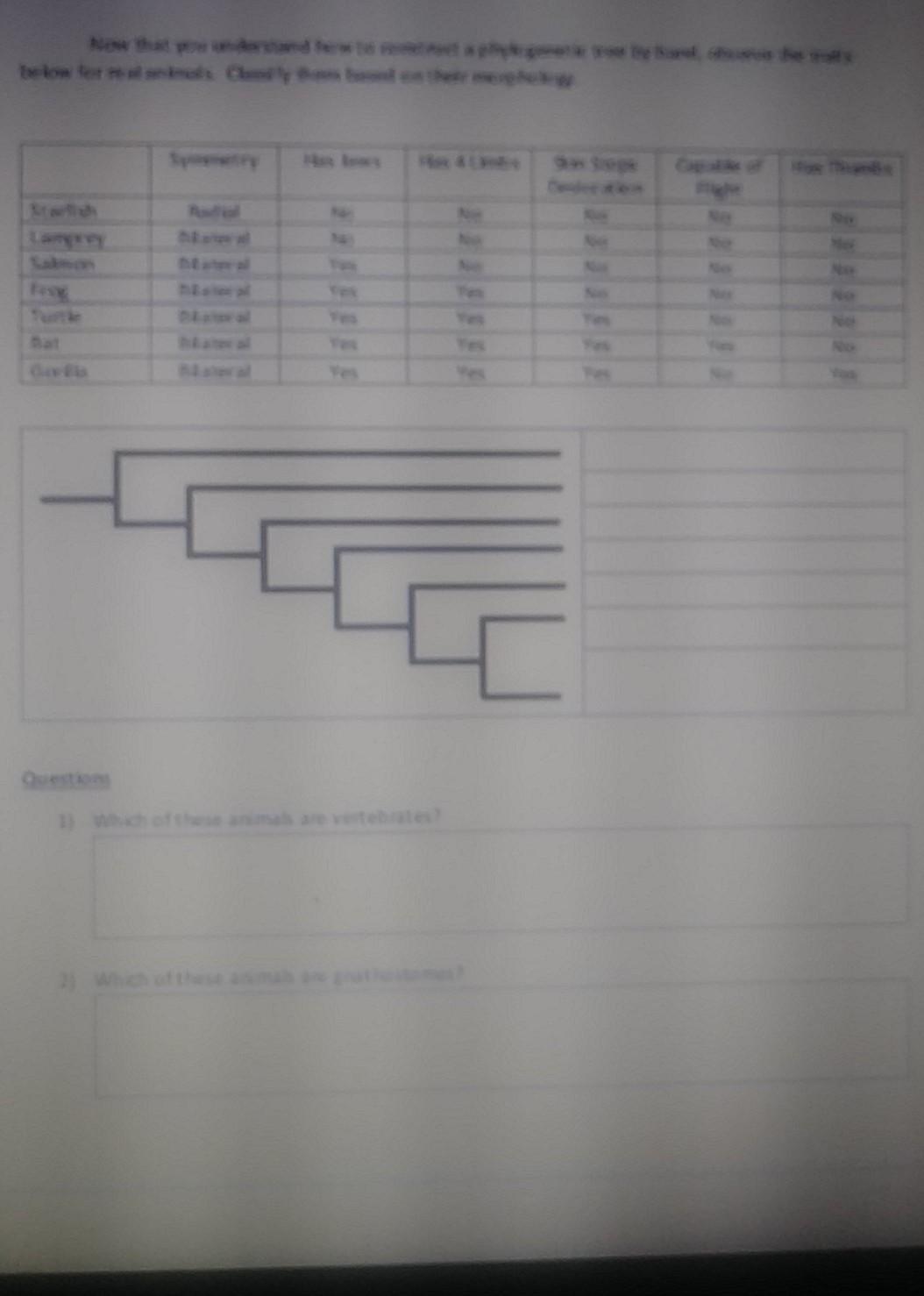 Solved BIO 201 Animal Diversity Lab Activity.pdf 810-201 | Chegg.com