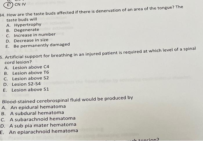 Solved E. CN IV 34. How are the taste buds affected if there | Chegg.com