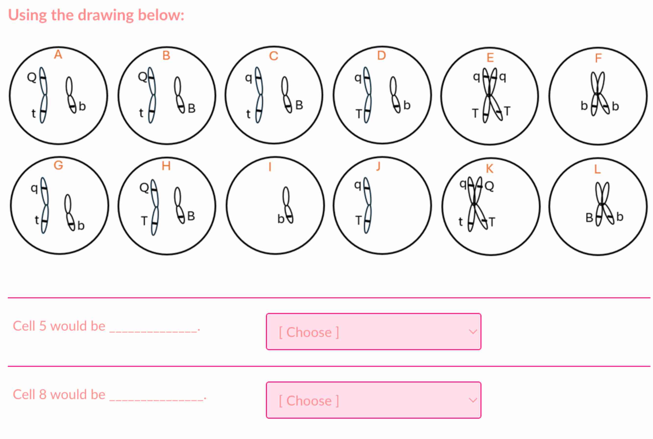 Solved Using the drawing below:Cell 5 ﻿would be | Chegg.com