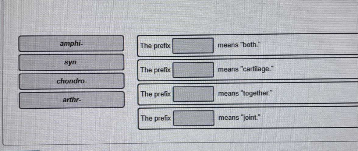 Solved amphi-The prefix means 