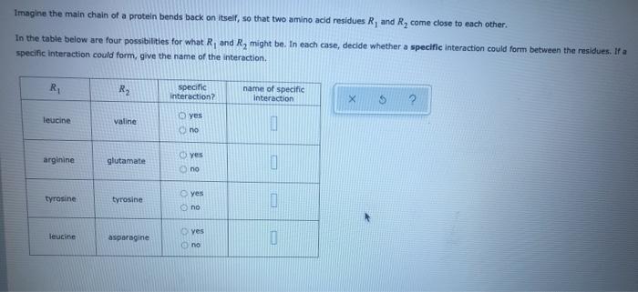 Solved Imagine the main chain of a protein bends back on | Chegg.com