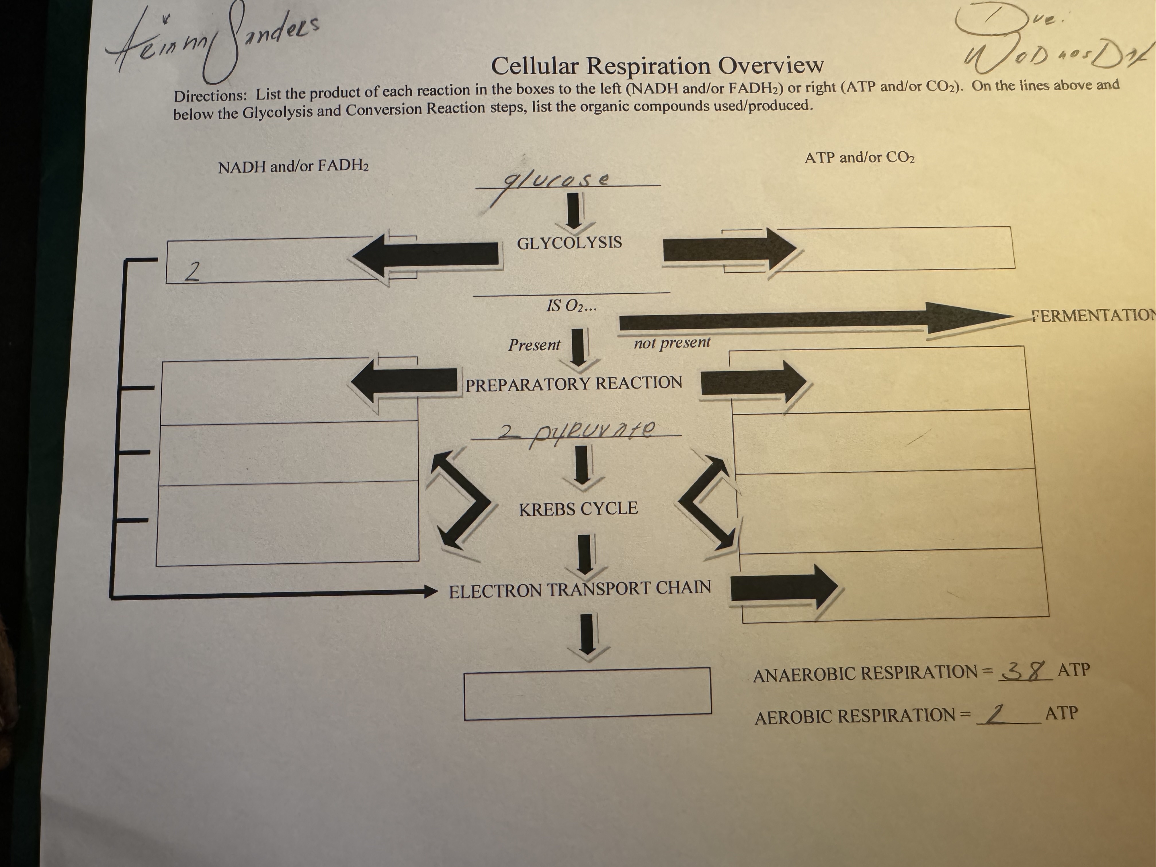 Solved Cellular Respiration OverviewDirections: List the | Chegg.com