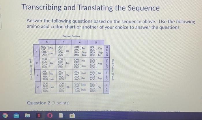 Solved The following is a sequence of bases on a DNA | Chegg.com