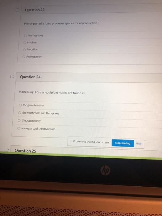 Solved D Question 23 Which Part Of A Fungi Produces Spores | Chegg.com