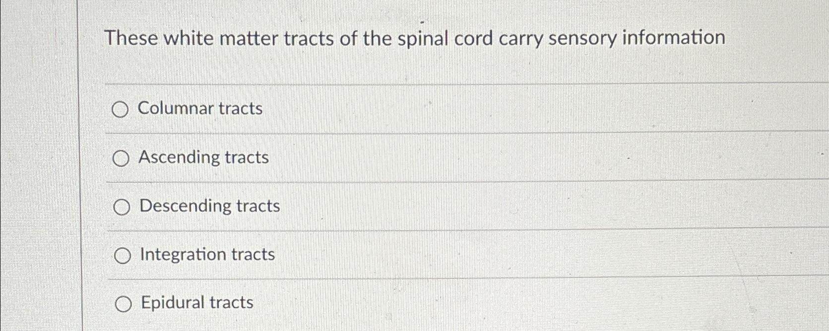 Solved These white matter tracts of the spinal cord carry | Chegg.com