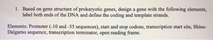 Solved 1. Based on gene structure of prokaryotic genes, | Chegg.com
