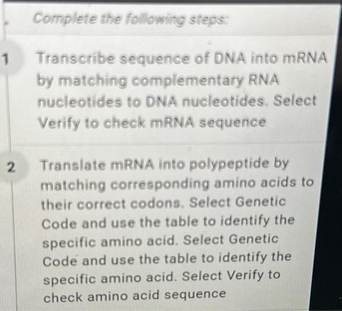Solved RNA Nucleotides UA CG Amino acids Polypeptide Ala DNA