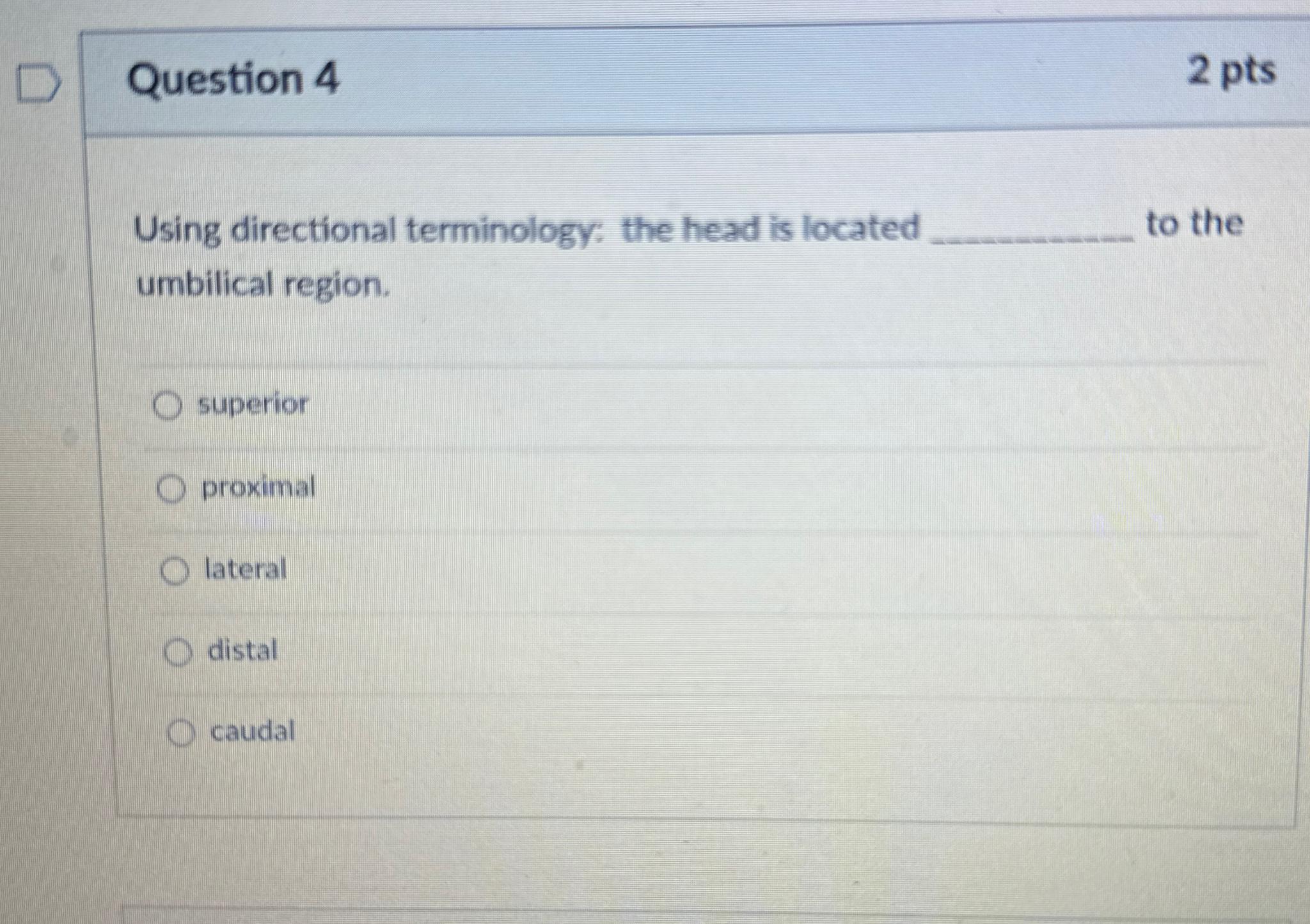 solved-question-42-ptsusing-directional-terminology-the-chegg