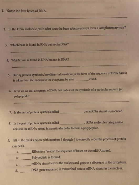 Solved 1. Name The Four Bases Of Dna. 2. In The Dna 