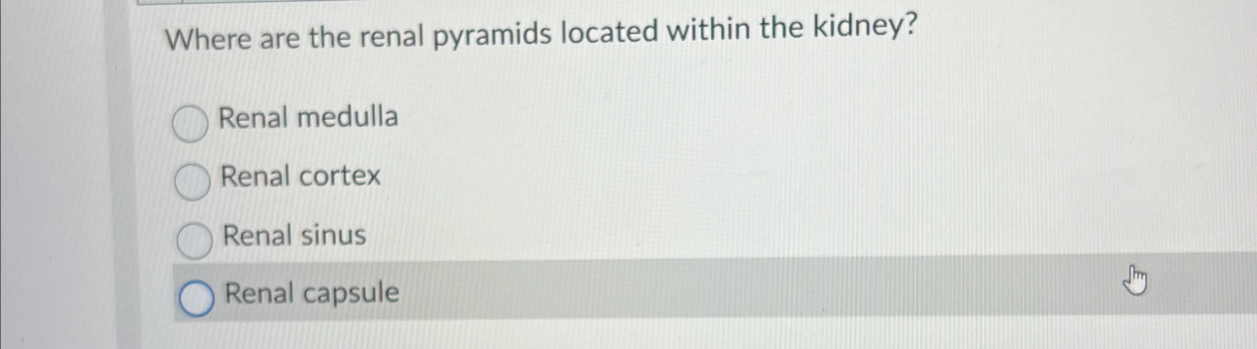 Solved Where are the renal pyramids located within the | Chegg.com