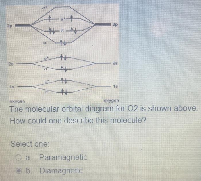 Solved What is the bond order for the molecule in the | Chegg.com