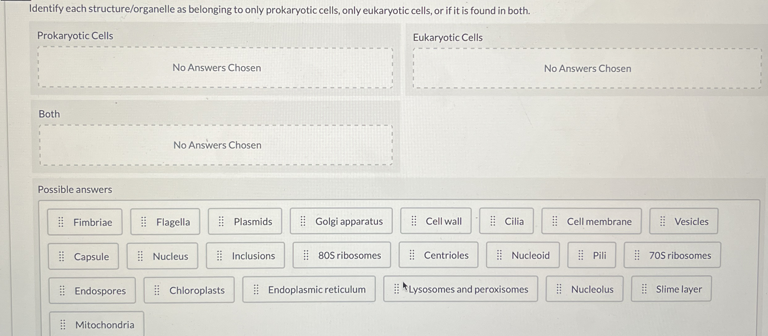 Solved Identify each structure/organelle as belonging to | Chegg.com