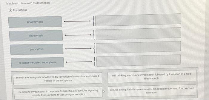 Solved Match each term with is description. | Chegg.com