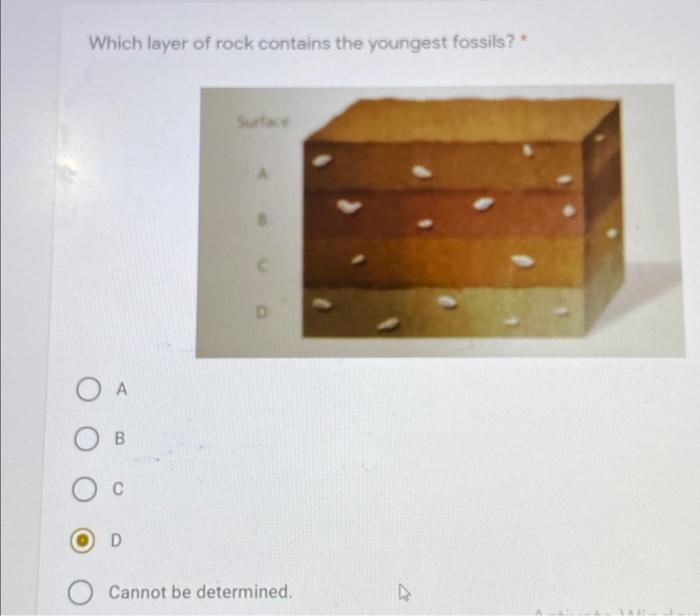 Solved Which layer of rock contains the youngest fossils? Ο