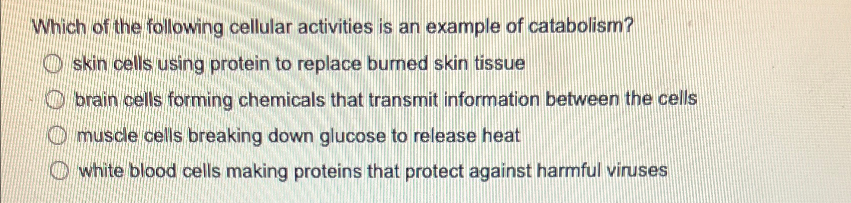 which of the following cellular activities is an example of catabolism