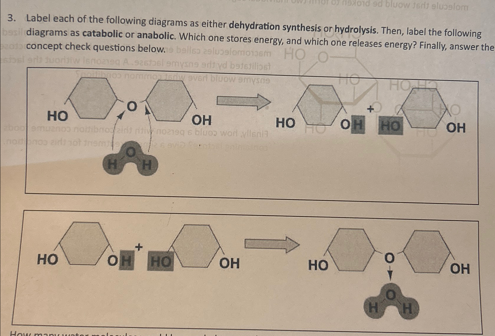 Solved Label each of the following diagrams as either | Chegg.com