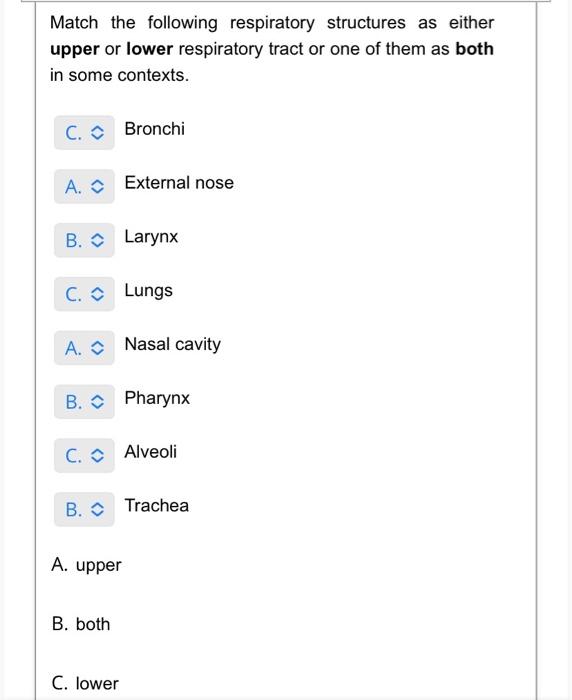 Solved Match the following respiratory structures as either | Chegg.com