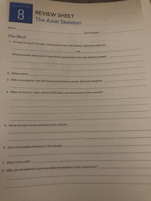 Solved EXERCISE 8 REVIEW SHEET The Axial Skeleton Name Lab | Chegg.com