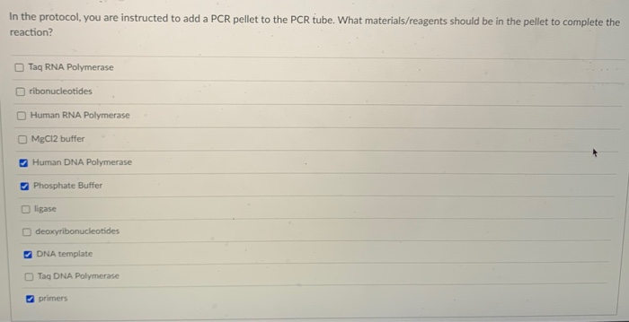 Solved In the protocol, you are instructed to add a PCR | Chegg.com
